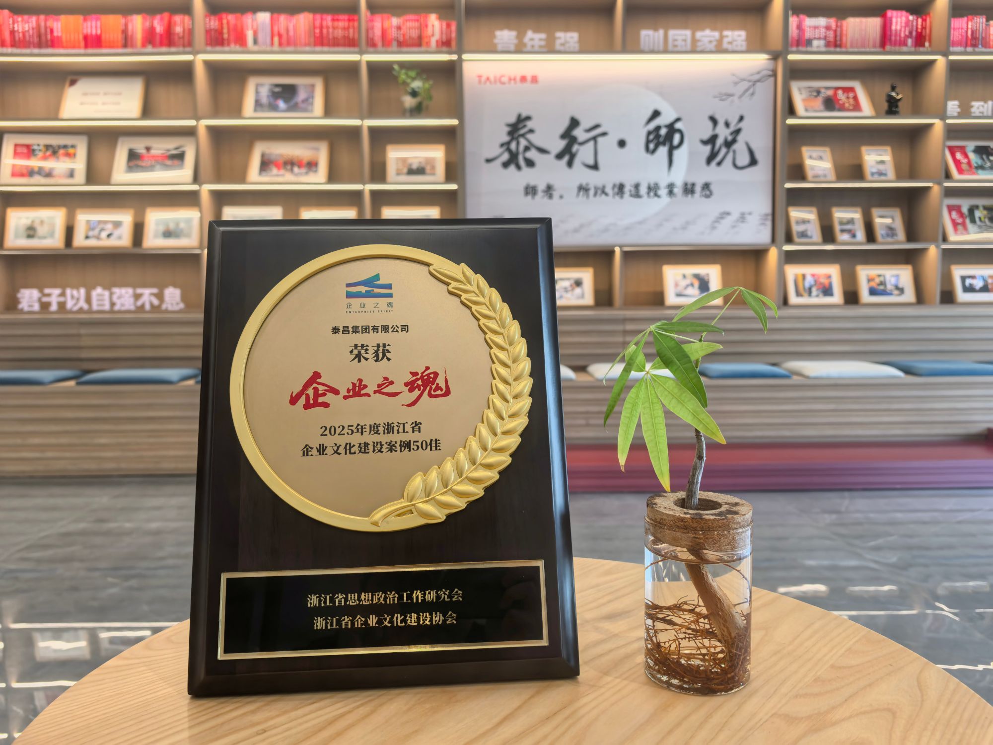1762505112368053537.jpg 企业之魂:2025年度浙江省企业文化建设案例50佳(牌匾).jpg